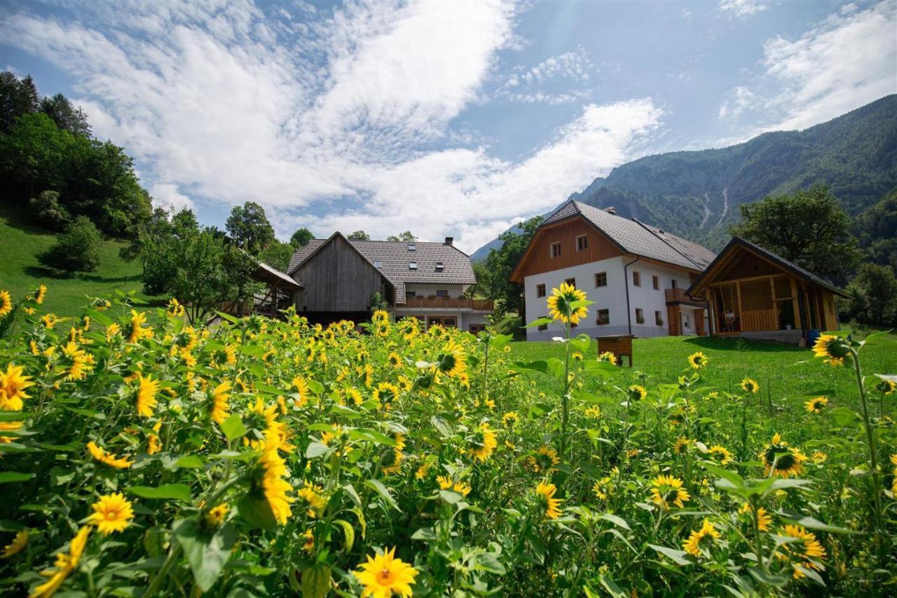Apartments Tourist Farm Storman With Ev Ch-Station Тржич Экстерьер фото