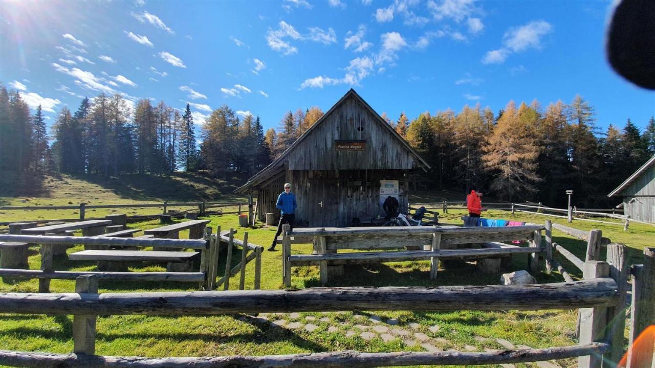 Apartments Tourist Farm Storman With Ev Ch-Station Тржич Экстерьер фото